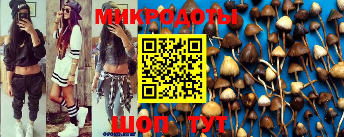Мончегорск  Псилоцибиновые грибы ЛСД  закладка  Вход с VPN 